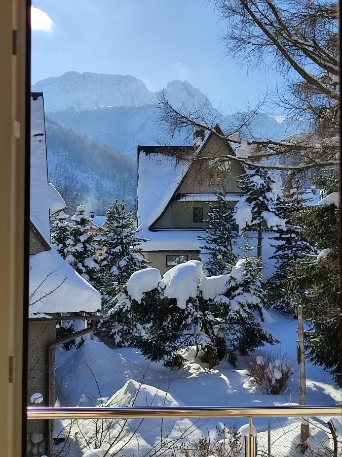 Willa Hajnowka Zakopane Exterior photo