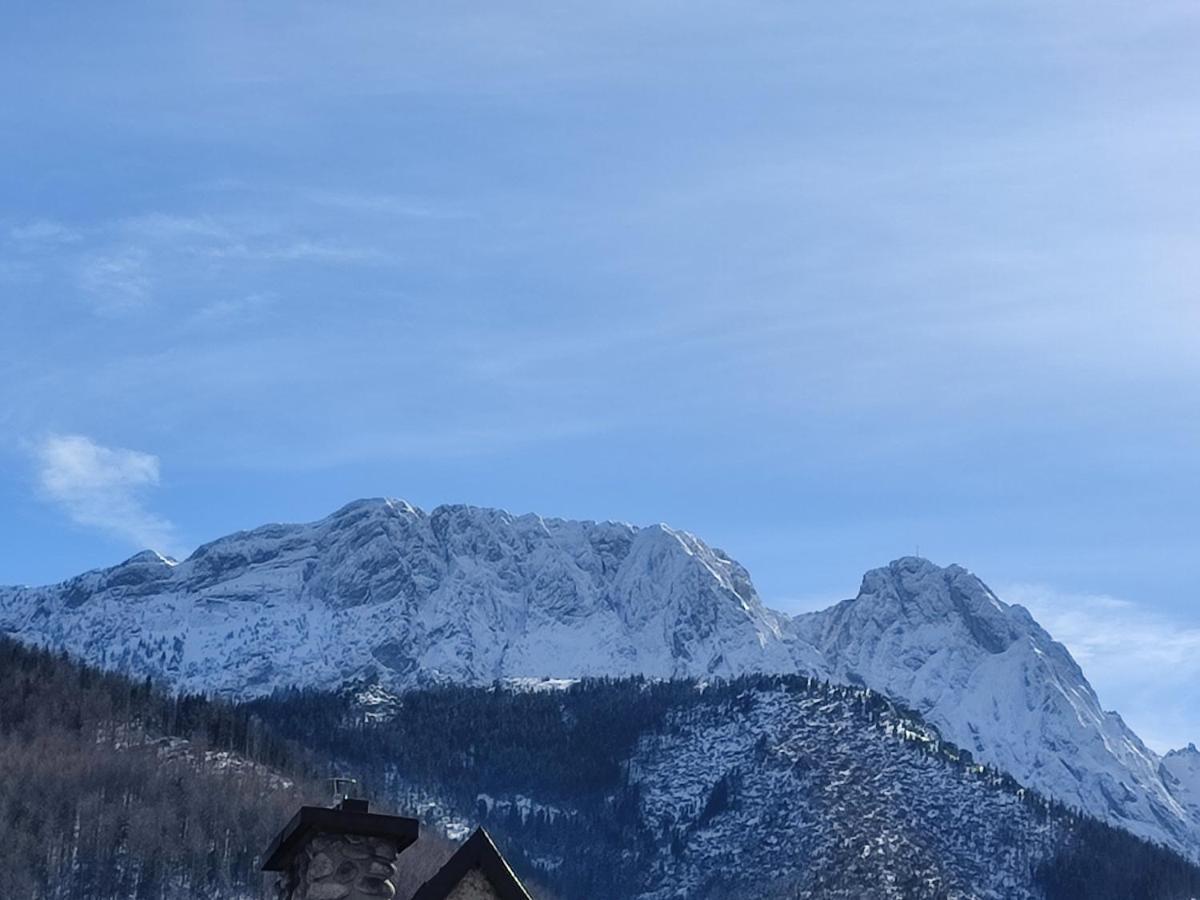 Willa Hajnowka Zakopane Exterior photo